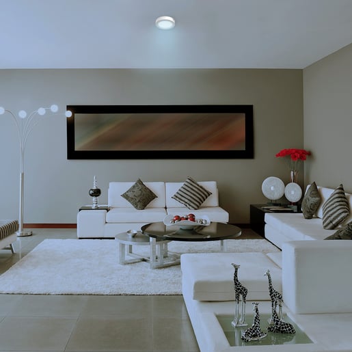Lámpara de Techo TECNOLITE ANKAA II Blanco 12W Blanco frío