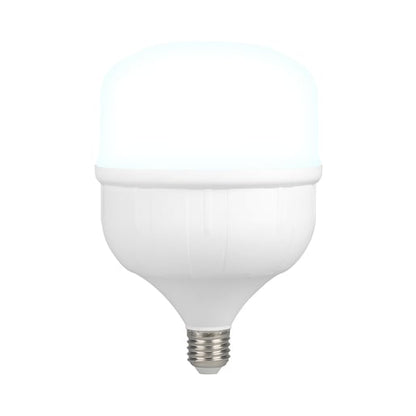 Foco de Alta Potencia TECNOLITE Blanco 50W Blanco frío